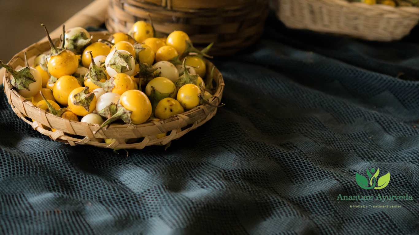 Kantakari (Solanum surattense)