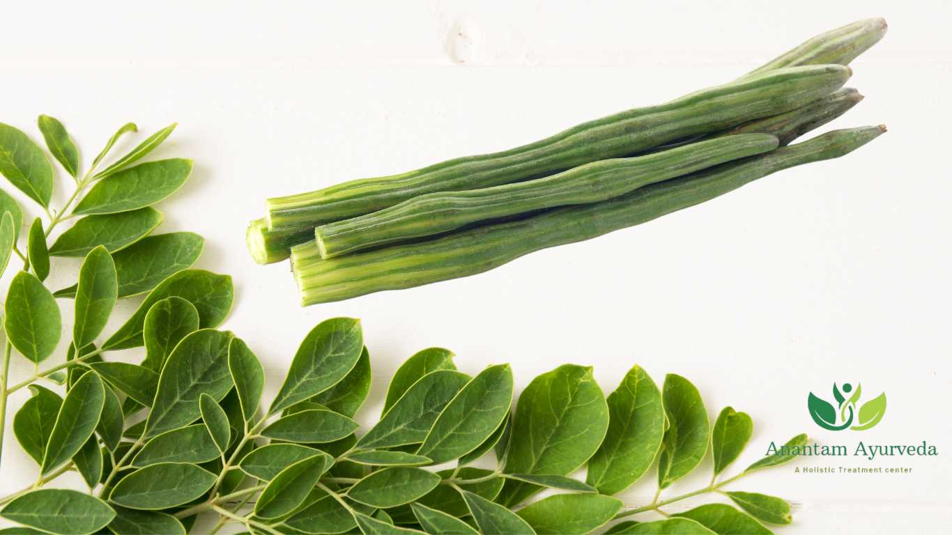 Sahjan (Drumstick) Moringa Oleifera