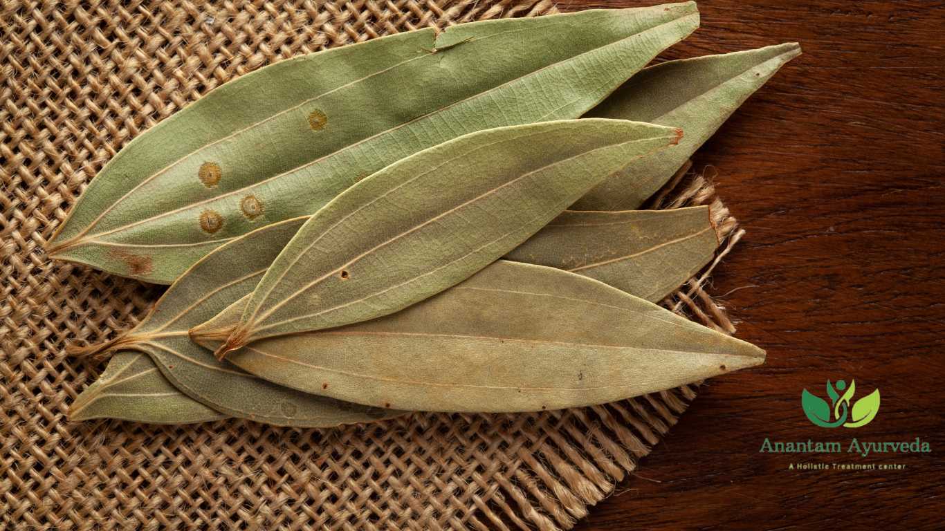 Tej Patta (Cinnamomum Tamala)