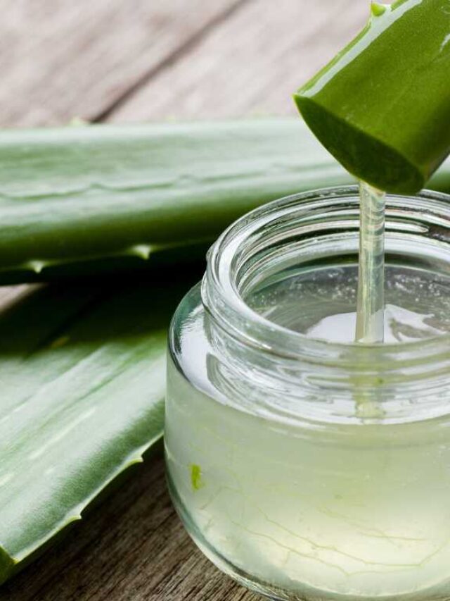 How to Use Ghritkumari (Aloe Vera)